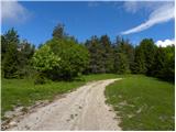 Planina (Dolnja Planina) - Hunting cottage on Planinska gora